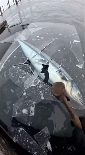 Frozen ceiling pressed down.AI-generated cinematic scene.#FrozenLife #AIGenerated