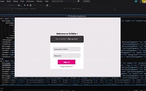 C# WPF UI XAML UI design in Visual studio blend 2019 _ Login Animation