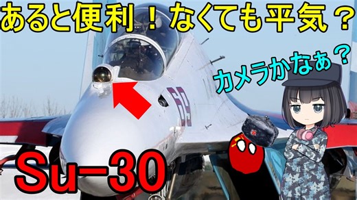【兵器解説】このSu-30戦闘機の機首についているものはなんだろう？