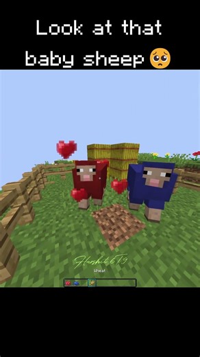 How To Make Purple Color in Minecraft 🎨