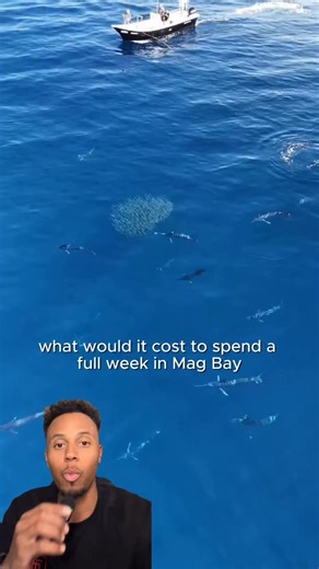 Nick | content marketing | automation specialist on Instagram: "Comment “yes” if you and the boys want to send it to Mag bay is 2026 A full week in Mag Bay chasing striped marlin with Los Locos Sportfishing. Fly in, get picked up, rig gear, fish every day. This zone holds huge amounts of bait and consistently produces striped marlin each season. This isn’t a luxury resort trip. It’s a fishing-first program built around maximizing time on the water and chances at stripes. If your goal is seeing m