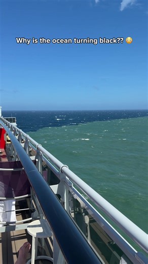 POV: The ocean suddenly changes colour mid-cruise 😯 So apparently the ocean just… switches modes now?? One minute we’re cruising through lovely green mermaid waters, the next minute it’s giving deep dark thriller movie. No warning, no clouds, just a dramatic colour change like the sea hit a mood swing. 🌊🖤 Should I be concerned… or is this just the ocean being ✨mysterious✨ again? Anyone know what causes this before I start preparing my main character survival speech? 😅 #cruiselife #oceanmyste