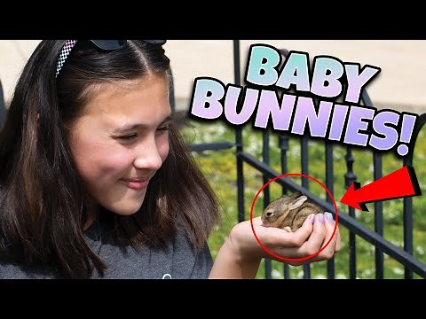 OUR CUTEST VIDEO EVER!!! We Found Baby Bunnies in Our Garden!