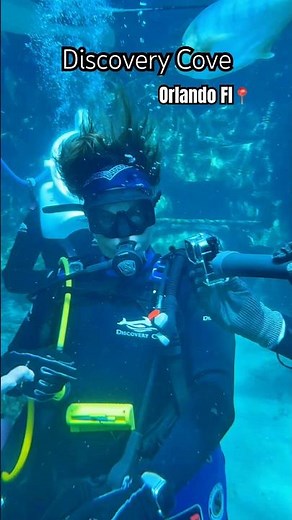 Discovery Cove, unique experience in Orlando Fl.