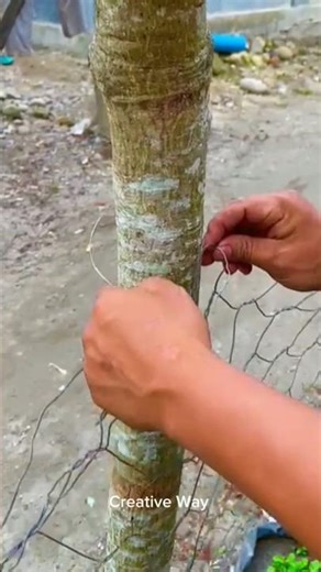 “Ultimate Fence Knot Guide: Strong, Simple, and Won’t Come Loose!”
