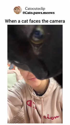 catocuteclip on Instagram: "Few some hate the gadget 😭🤣"