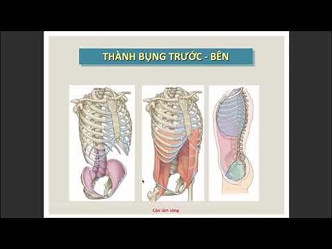 GIẢI PHẪU Ổ BỤNG - PHÚC MẠC | THS. BS