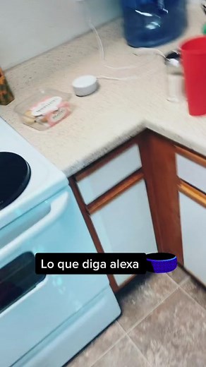 Smart Kitchen Setup Featuring Alexa Voice Commands