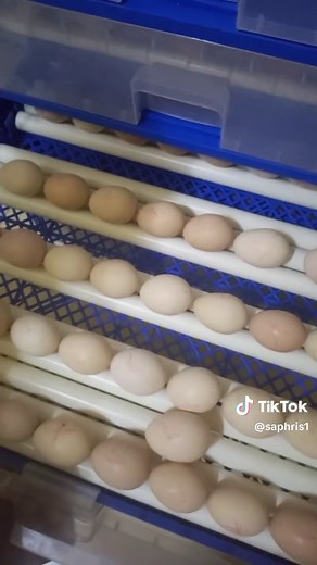 #le travail#tiktokburkinafaso #tiktokbeninois #tiktoktogo #tiktokivoire225