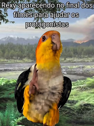 Memes Engraçados de Jurassic Park e Dinossauros