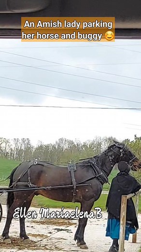 An Amish lady parking her horse and buggy before going in the store. #horseandbuggy #ohioamishcountry #amish #amishcountry #countryliving #countrylife #fblifestyle | Ellen MariaelenaB