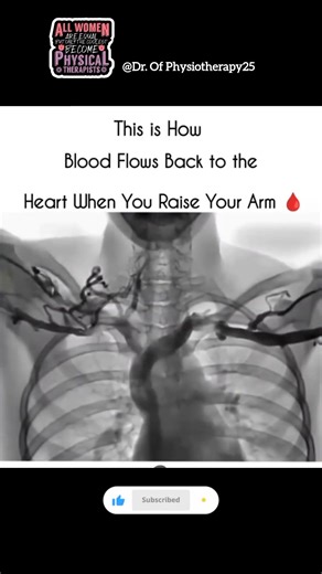 Raise Your Arm & Watch This! The Truth About Blood Flow 🥼🌟