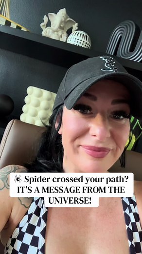 Spider Crossing Your Path: Universe's Message