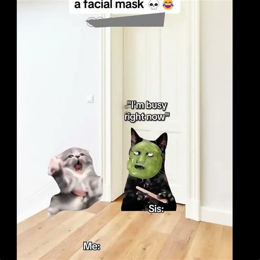 CAT MEMES 🐱When your sister puts on a facial mask #catmemes #relatable #Animal memes hub #cat #meme