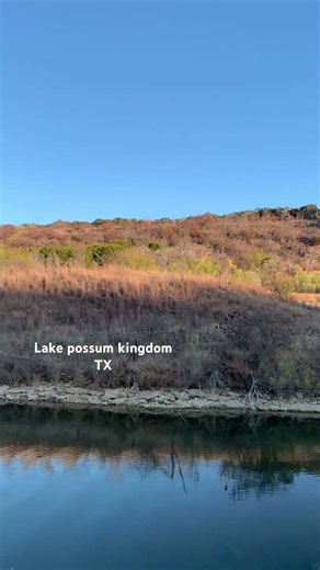 Possum kingdom
