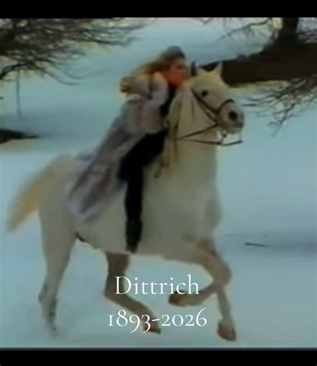 Farewell to Dittrich: A Detroit Business Legacy