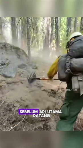 inilah Fighting Fire with Fire atau memadamkan api dengan api #vidioshorts