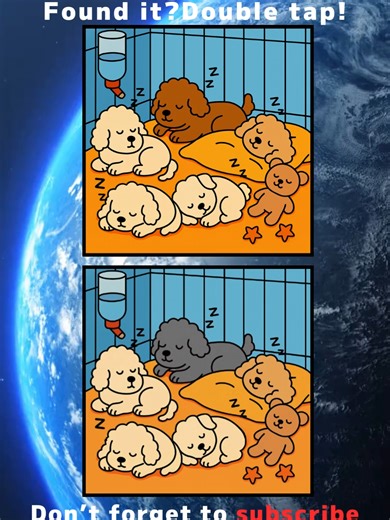 Spot the Difference Challenge for Brain Training