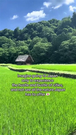 Explore Japan's Hidden Nature Gems Beyond the Cityscape #JapanTravel #NatureEscape
