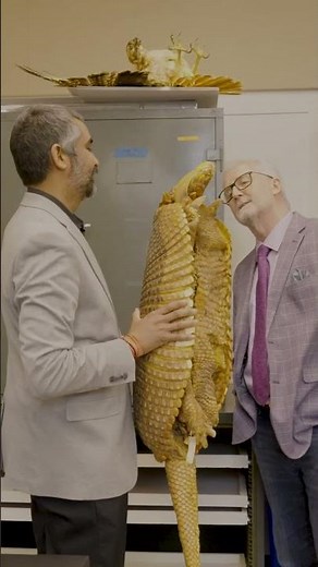 🦴 Museum of Natural Science Tour with Chancellor Dalton
