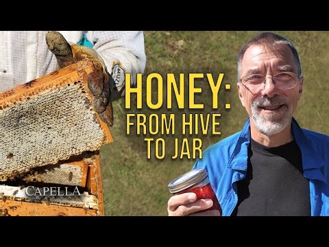 From Hive to Jar: Step-by-Step Raw Honey Extraction at Capella Ranch