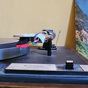 230K views · 4K reactions | Spring Island is only 3 months old & y'all have racked up over 3 million plays already 勞 It continuously blows our mind that so many of you are out there listening to our music, it is not lost on us! Cheers everyone, Happy listening 弄 | Delta Sleep | Facebook