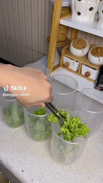 Stok Salad Sayur: Resep dan Ide Menunya