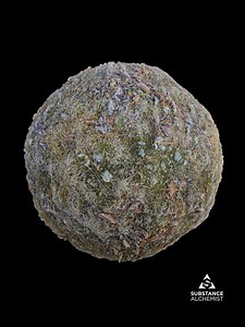 Ground Forest 003 - 3D TEXTURES