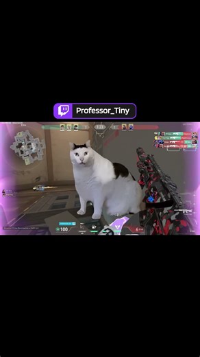 How to use phantom in close range fight. #valorant #gaming #valorantclips #valorantgaming