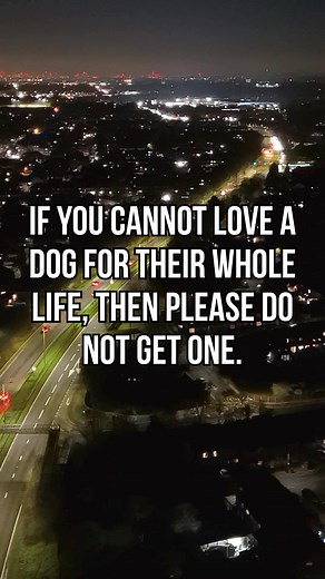 192K views · 13K reactions | There’s a truth every real dog lover...
