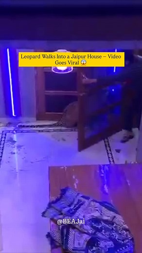 130K views · 196 reactions | A concerning incident has surfaced from...