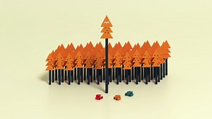 Why Trees Stop Growing After a Certain Height