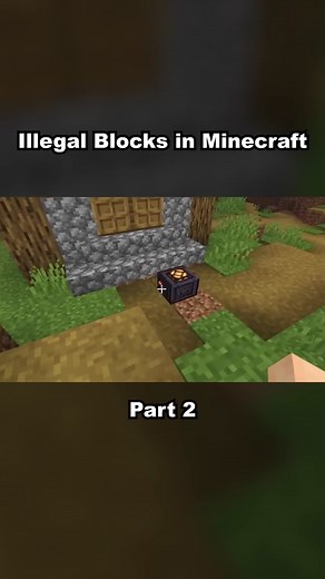 Testing Illegal Minecraft Blocks That Shouldn't Be Allowed