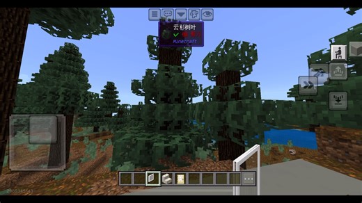 玩了几下我的世界