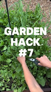 27K views · 86 reactions | Comment SEEDS to get the link to grab all...