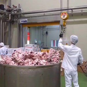 Full process of making glue from horse bones | LIVE Sheohar