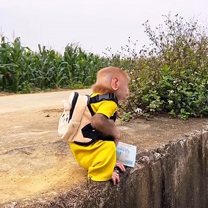 What Can Smart Bibi Help Dad and Mom | Family MK