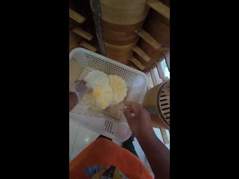 Uncut POV | Soup Dumpling Folding & Steaming | Real-Time Vendor Rhythm