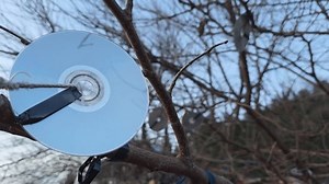 Lutte innovante contre les ravageurs des : vidéo de stock (100 % libre de droit) 4012762495 | Shutterstock