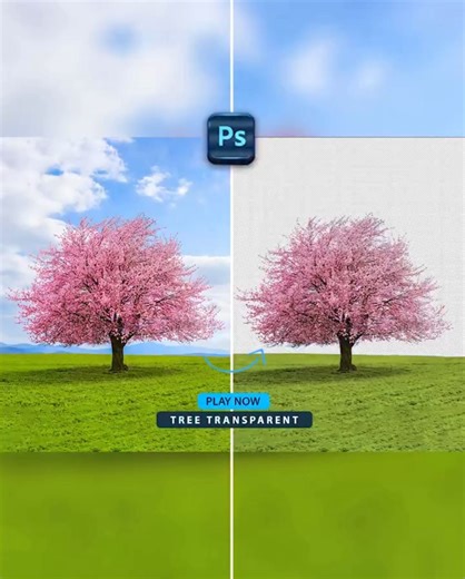 How to create a tree transparent effect in adobe photoshop tutorial #rggraphic | RG Graphic