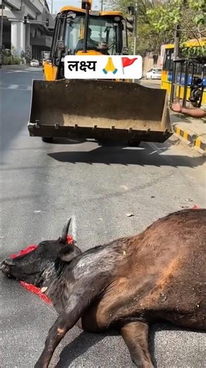 🙏#cow #gaumata #ytshorts #animals #rajasthan #viral