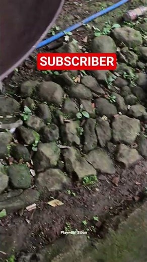 DIY Beyblade at Home#shorts