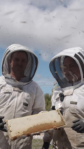 🌼🐝 Yay, it’s honey season! Our bank balance is buzzing with joy while our amazing bees are thriving amidst the blooming nectar of spring! 🌸✨ A massive shoutout to all of you who support us on this sweet journey. It’s the community and our stunning landscapes that inspire us to keep doing what we love! 🐝❤️ Join us in celebrating the beauty of seasonal farming and the benefits of Mānuka honey. Your support means the world, especially as we navigate the rhythms of beekeeping and cash flow. Than