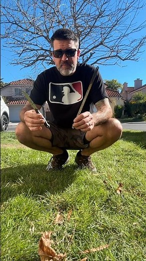 The Best And Cheapest Tools for Cutting Sod