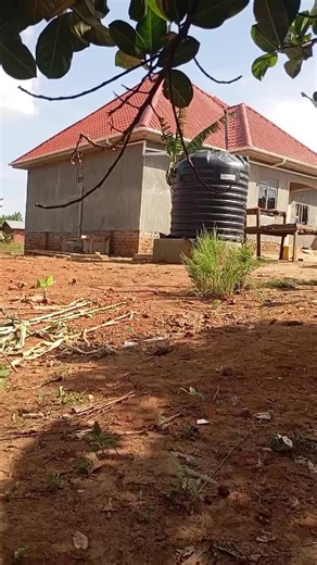 Bruce pro (@karamagibruce)’s videos with original sound - ritsigazi 🇺🇬rweishe🇺🇬🇺🇬