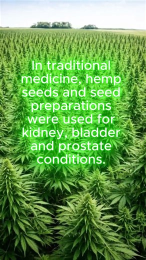Traditional Uses of Hemp. #traditionalmedicine #hemp