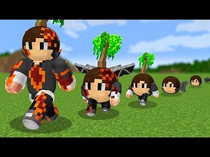 Evolving as a Ball in Minecraft