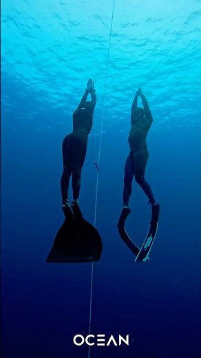 Inspired by Luc Besson’s film Le Grand Blue, a film about the fascinating world of deep freediving.