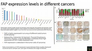 Fibroblast Activation Protein (FAP)- a promising target for radiopharmaceuticals, presented by: Sherly Mosessian, SOFIE, CSO