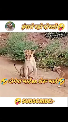 Dogesh Bhai vs Sheru Bhai 🤣🤣